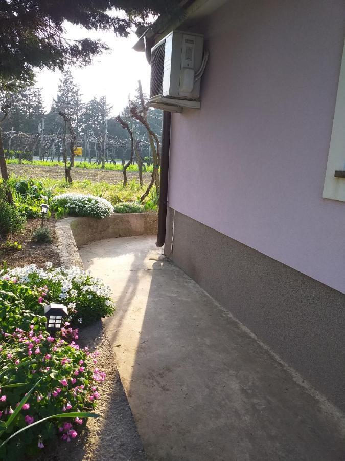 Istra Apartment Koper Luaran gambar